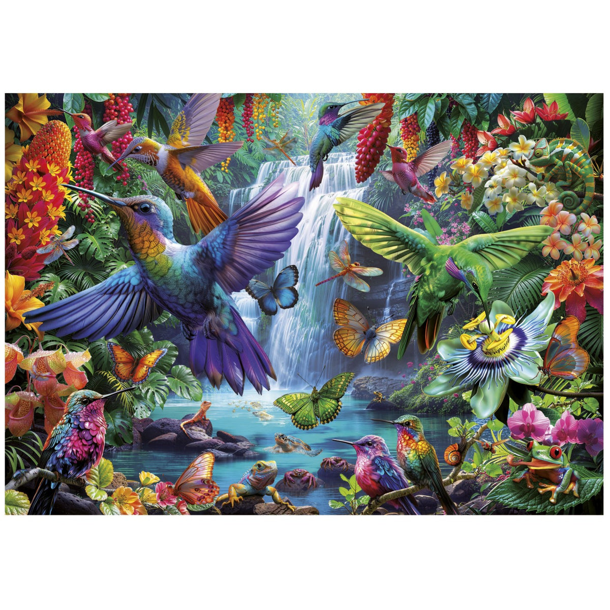 Puzzle Colibríes tropicales - Educa - 1000 piezas