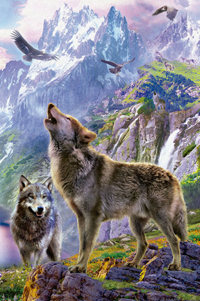 Puzzle Lobos nas Pedras - Educa - 500 Peças