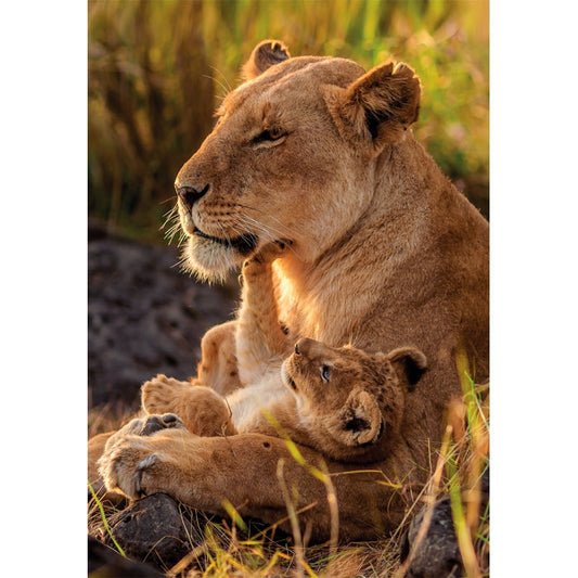 Puzzle Feline Love da Clementoni montado, imagem completa (500 peças)