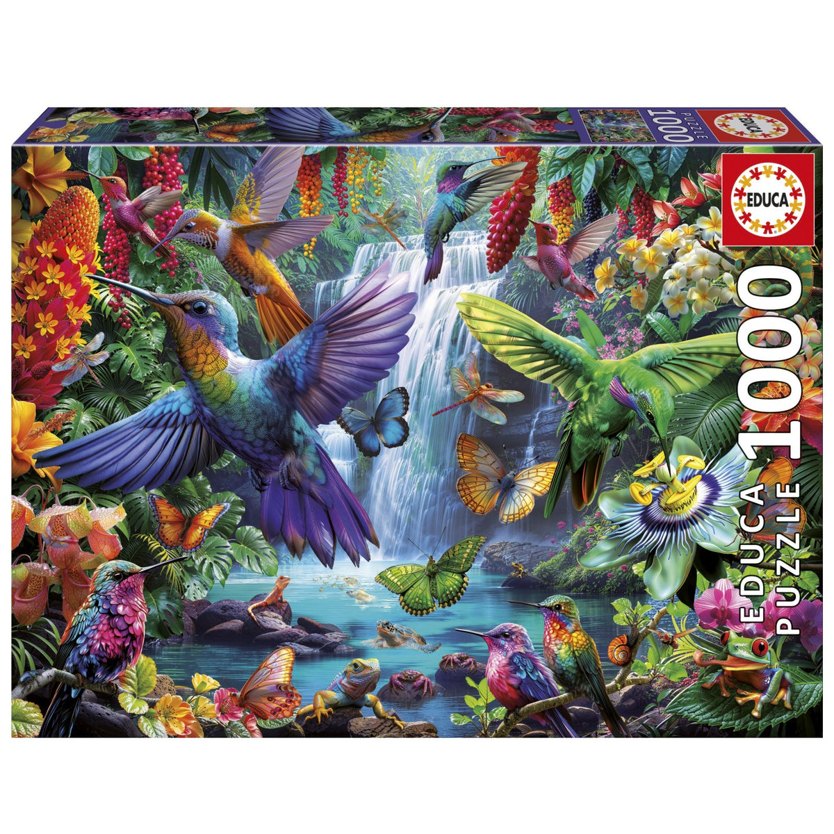 Puzzle Colibríes tropicales - Educa - 1000 piezas
