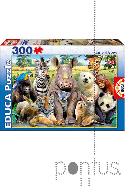 Puzzle La Foto de Clase - Educa - 300 Piezas