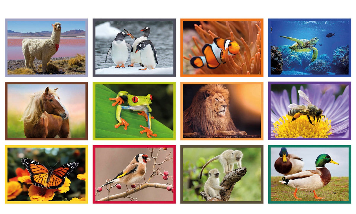 Puzzle Battle Adulto Natura - Educa
