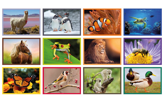 Adult Puzzle Battle Nature - Educa