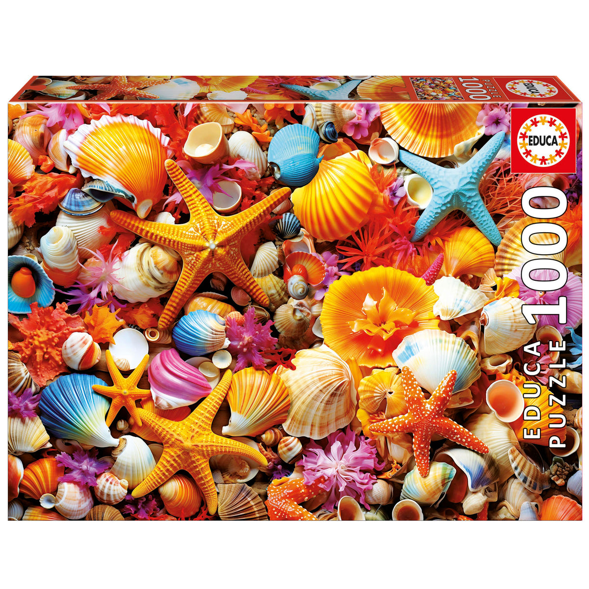Puzzle Colagem de Conchas - Educa - 1000 Peças